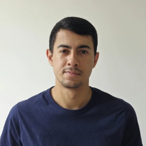 Vinícius Terra Mendes 