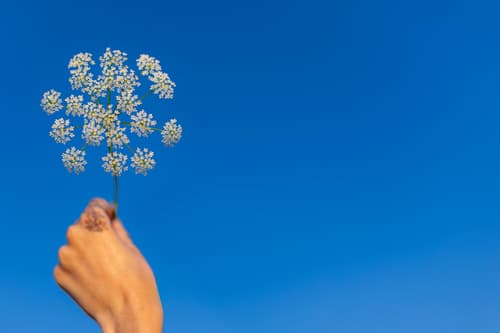 Como viver no presente