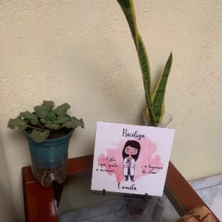 Foto 2 de Camila Carmo