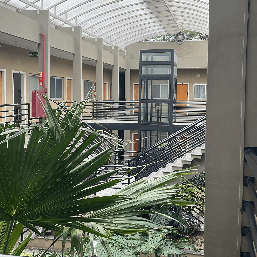 Foto 3 de Danielle da Silva Ferreira