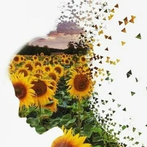 Foto 1 de Fernanda Carolina Sorrentino Paluzzi