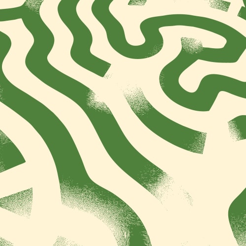 Foto 2 de Nelson Inácio Silva