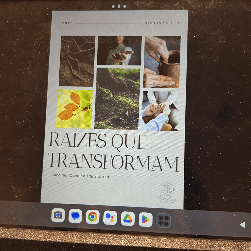 Foto 3 de Bianca De Jesus Lopes Pardini