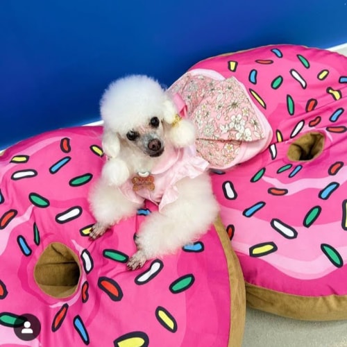 Foto 5 de Roberta Martins