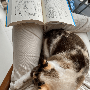 Foto 4 de Jéssica Schuster Pereira