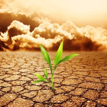 Foto 4 de Luan Simões