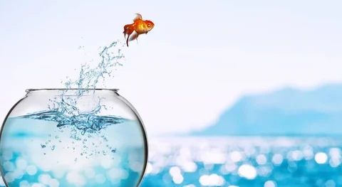 Foto 5 de Luan Simões