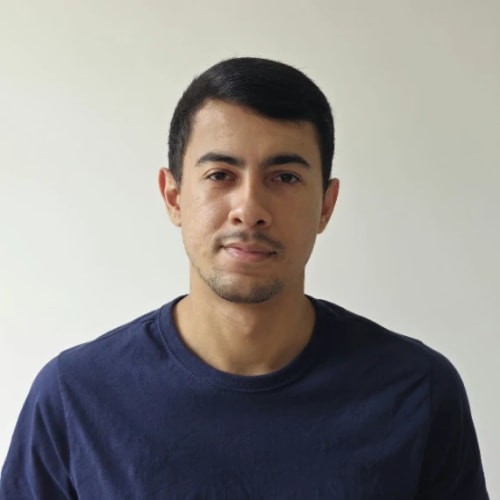 Psicólogo(a) Vinícius Terra Mendes atendendo online em Passo Fundo/RS